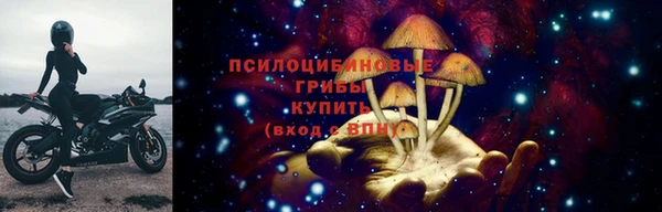 круглые Алзамай