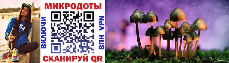 где найти   Александровск-Сахалинский  Галлюциногенные грибы Psilocybe 